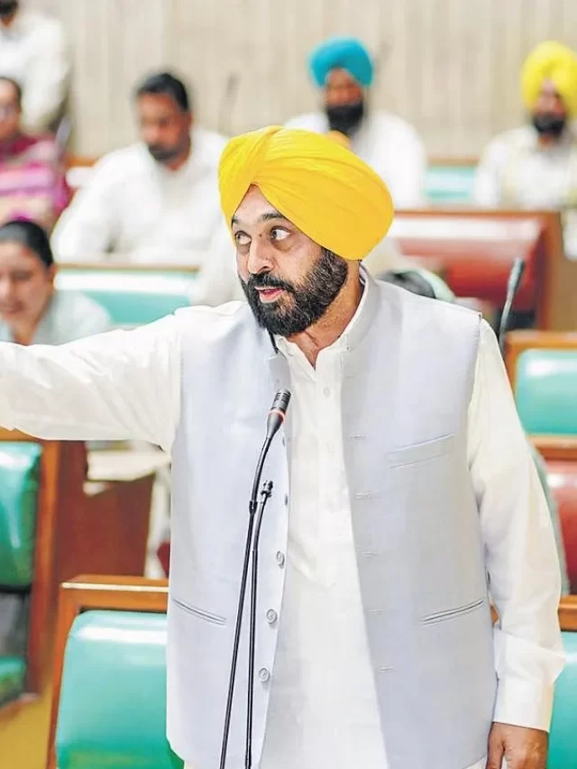 NDGRS Portal Punjab